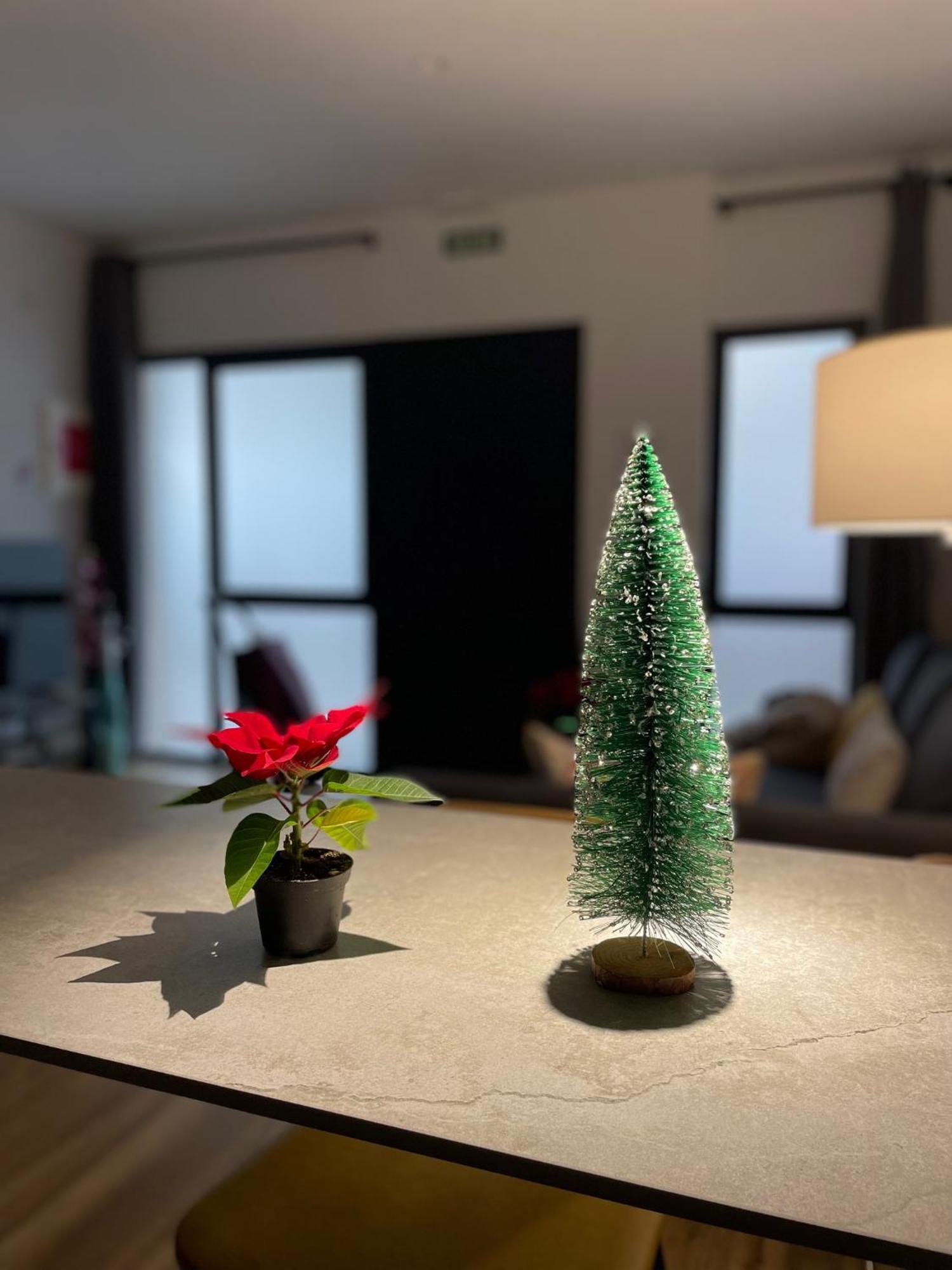 Junto Al Jardin Del Turia Apartamento 瓦伦西亚 外观 照片